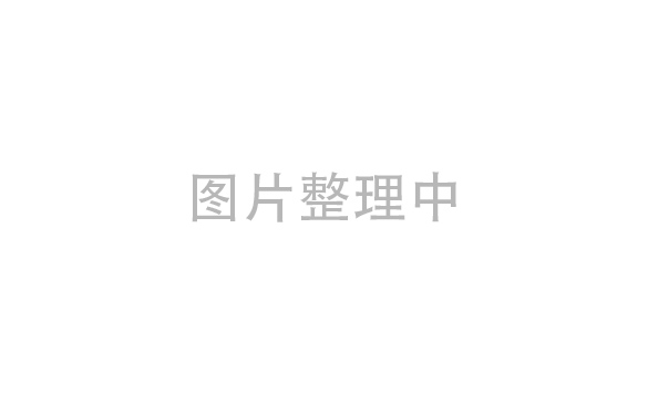 工业卷帘门厂家